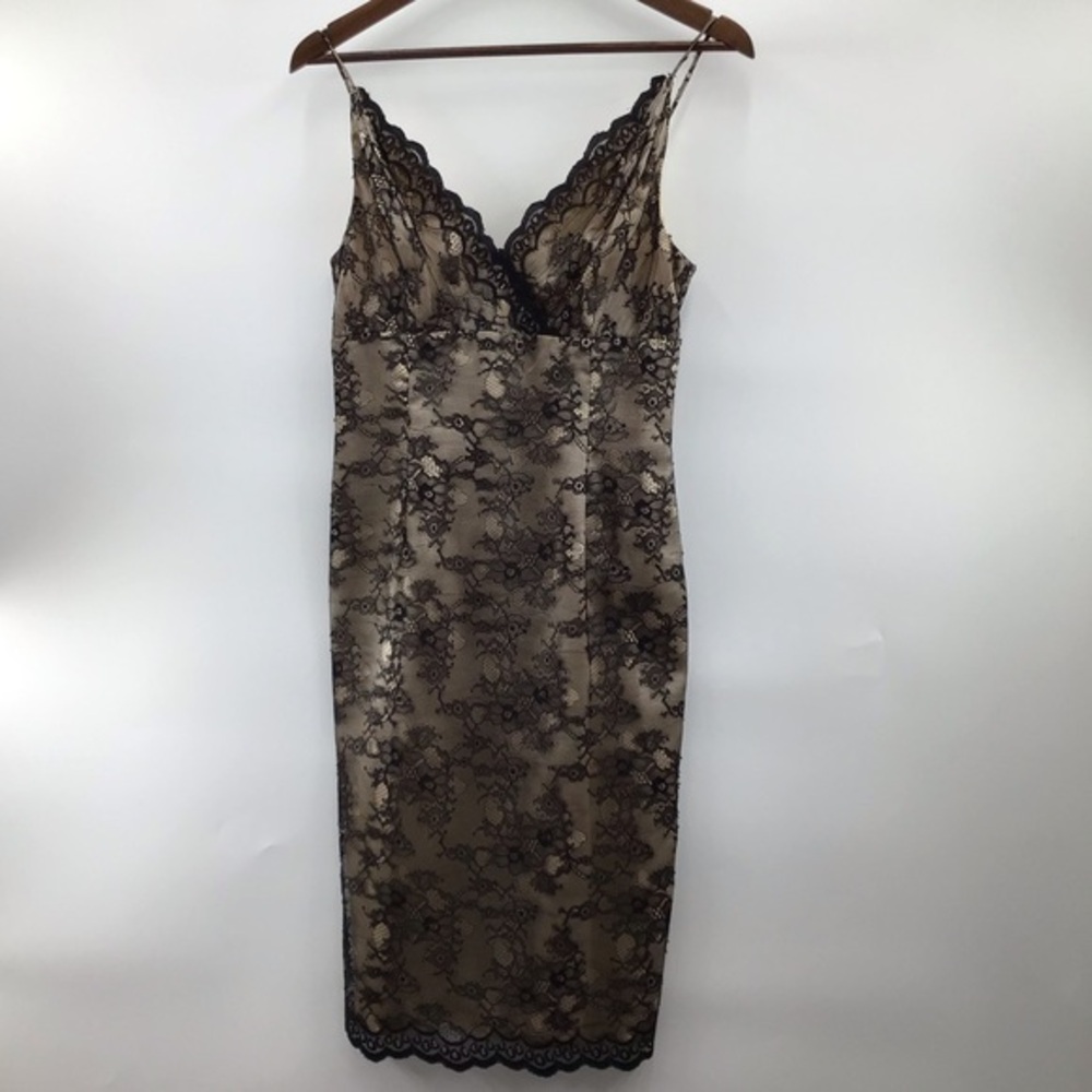 Elegant Lace Overlay Mini Dress